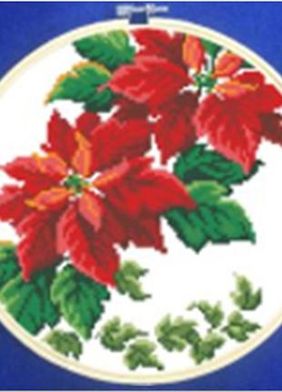 Алмазна вишивка. набір з п'яльцями, діаметр 30 см