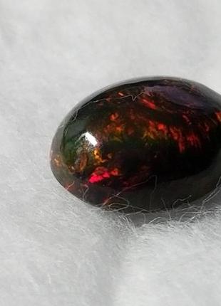 Ефіопський чорний опал 3.50 cts 12.20 x 9.90 x 5.90 mm1 фото