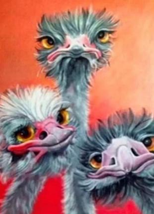 Алмазная вышивка. картина на картоне "страусята" , размер 21х25