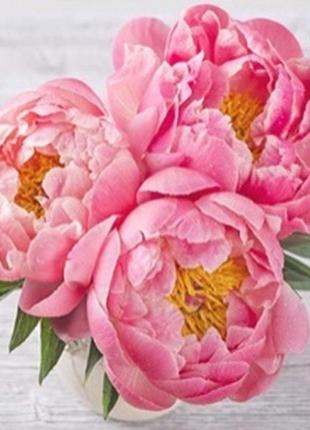 Алмазная вышивка. картина на подрамнике "пионы", 30х30см