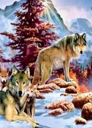 Алмазная вышивка. картина на подрамнике "властелин леса", 30х30см