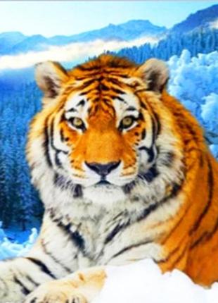 Алмазная вышивка. картина на картоне "храброе сердце" , размер 21х25