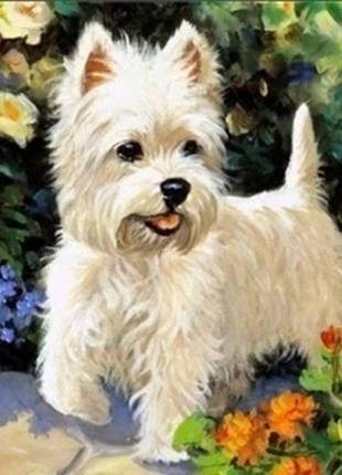 Алмазна вишивка. картина на підрамнику "лакі", 30х30см