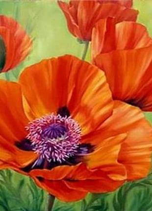 Алмазна вишивка. картина на картоні "маки" , розмір 21х25