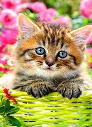 Алмазная вышивка. картина на подрамнике "маленькая радость", 30х30см