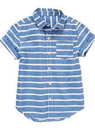 Рубашка для мальчика 5-6 лет crazy8
