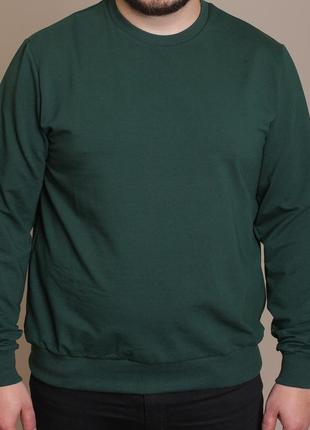 Однотонний світшот gabbi чоловічий (двухнитка) зелений
