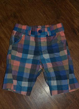 Шорты для модника!