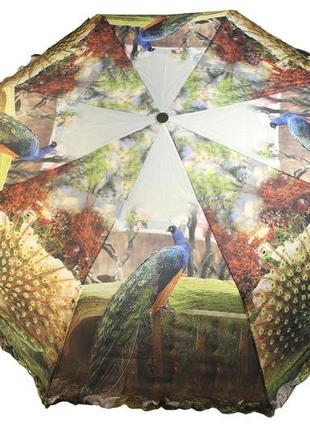 Зонт женский с ярким рисунком павлина, полуавтомат, 8 карбоновых спиц (18694)