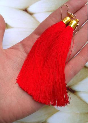 Сережки кісточки