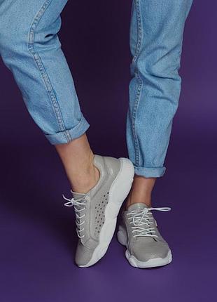 Кеди super star ted