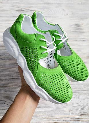 Жіночі кеди ted dream