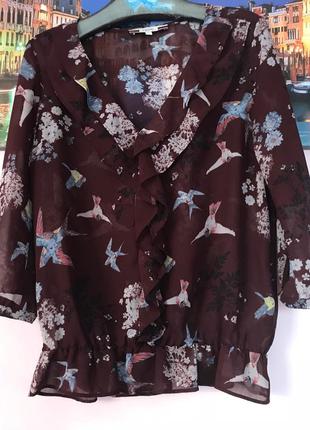 Крута блуза з рюшами з принтом у пташки