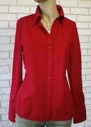 Крута нова блузка 12/42