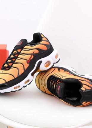 Кросівки nikе air max tn plus