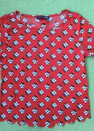 Футболка размер с м