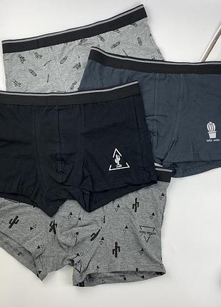 Набір чоловічих трусів з кактусами 4 шт