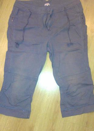 Бриджи  размер 44 европейский