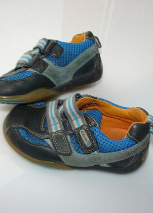 Кожаные ботинки, кроссовки clarks, р. 5,5 g, стелька 14,3 см, размер 22-234 фото
