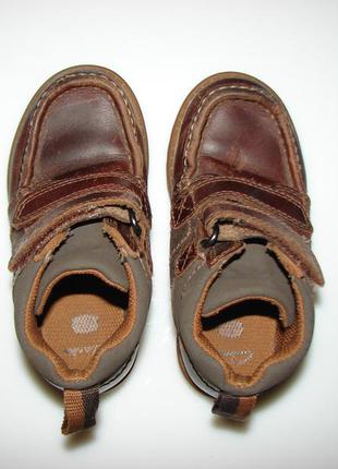 Кожаные ботинки clarks , р. 8, наш 26, стелька 16,5  сделаны во вьетнаме5 фото