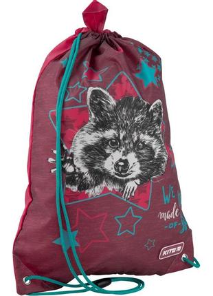 Сумка для обуви kite education fluffy racoon k19-600s-13 фото