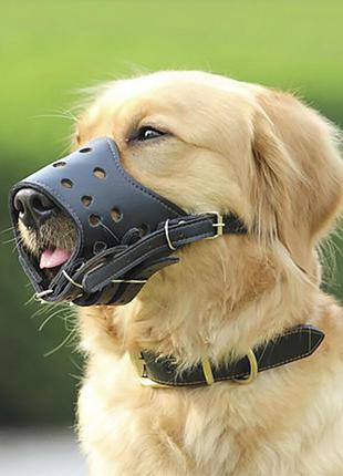 Намордник для собак xl
