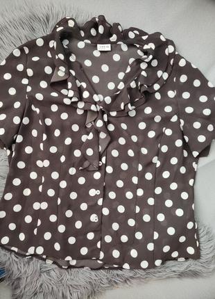 Блуза в горошок 3