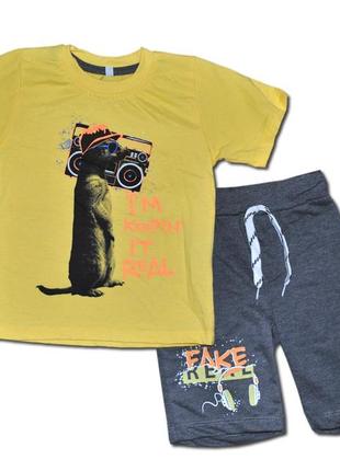 Костюм для мальчиков летний, футболка и шорты1 фото