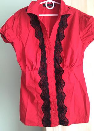 Блузка jennifer taylor