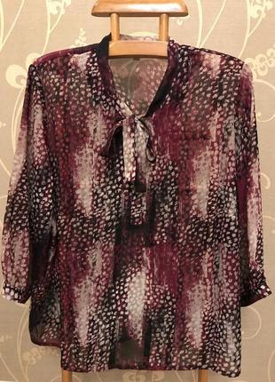 Дуже гарна і стильна брендовий блузка великого розміру.