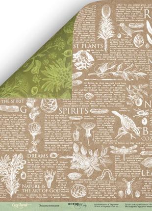Лист двусторонней бумаги 30x30 от scrapmir энциклопедия из коллекции cozy forest