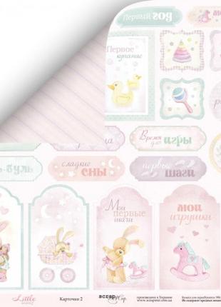 Лист двусторонней бумаги 30x30 от scrapmir карточки 2 из коллекции little bunny