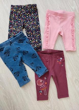 Набір лосини