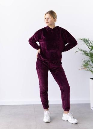 Жіночий велюровий костюм худі і штани. жіночий плюшевий костюм, кофта та штани
