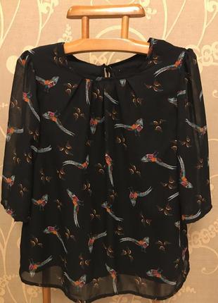 Очень красивая и стильная брендовая блузка в птицах.