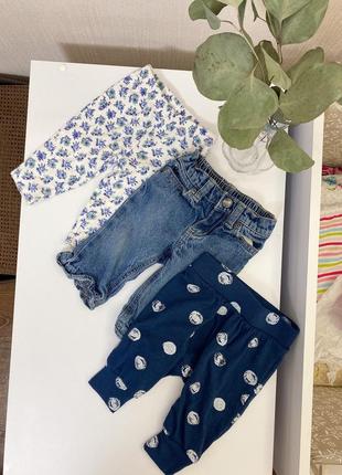 Набор из трёх штанов