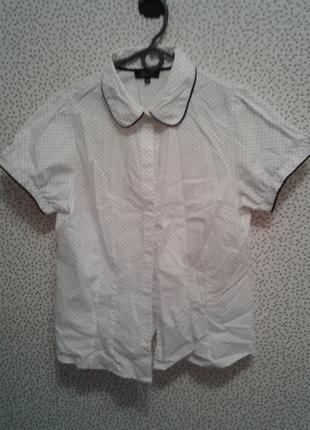 Сорочка жіноча в горошок