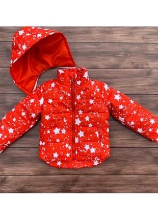 Куртка демісезонна (sas)