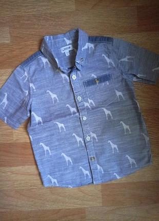 Шведка, сорочка в жирафах bows&arrows на 3-4 роки