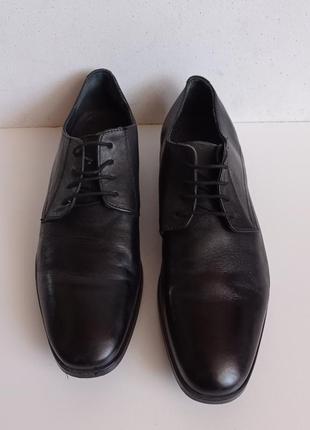 Шкіряні класичні туфлі 3