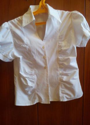Блузка біла хб