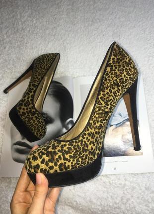Леопардові туфлі, тренд леопард1 фото