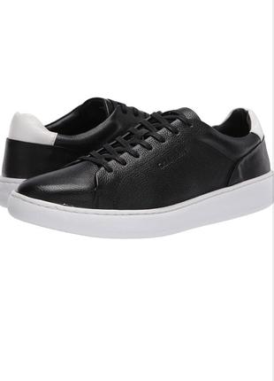 Мужские кеды calvin klein falconi