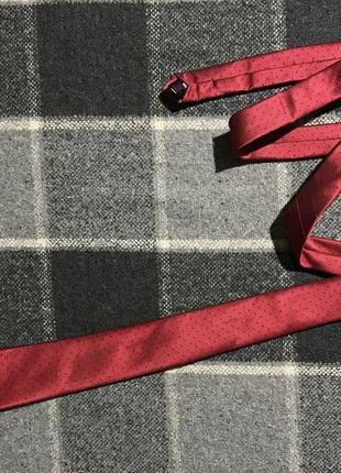 Мужской галстук в горох cedarwood state ( сидарвуд стейт идеал оригинал разноцветный)