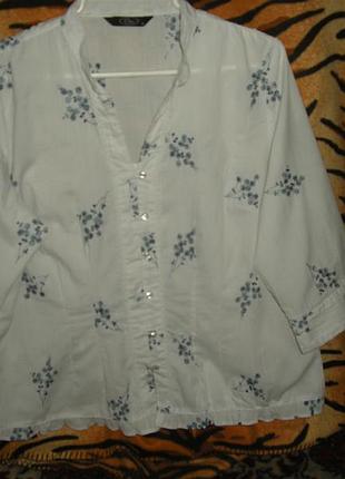 Супер блуза"bm"65%пол-н,35%коттон,р. 50-170грн.