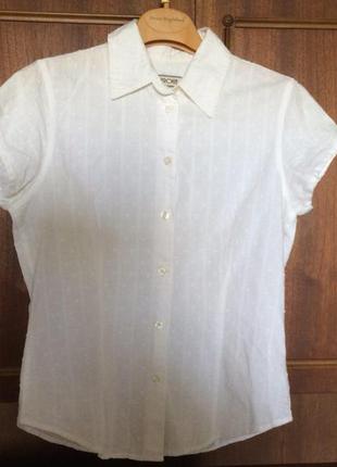 Блуза белая летняя на пуговицах с воротником от cherokee из хлопка2 фото