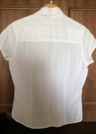 Блуза белая летняя на пуговицах с воротником от cherokee из хлопка6 фото