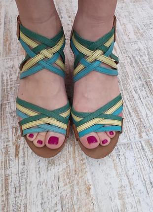 Босоножки  clarks