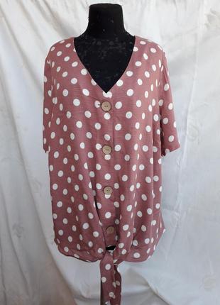 Стильная короткий рукав блузка блуза кофта papaya, 16 размер