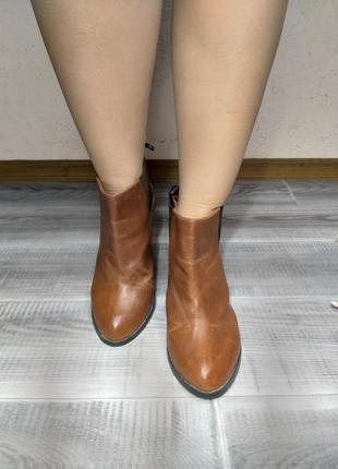 Ботинки челси (козаки)5 фото